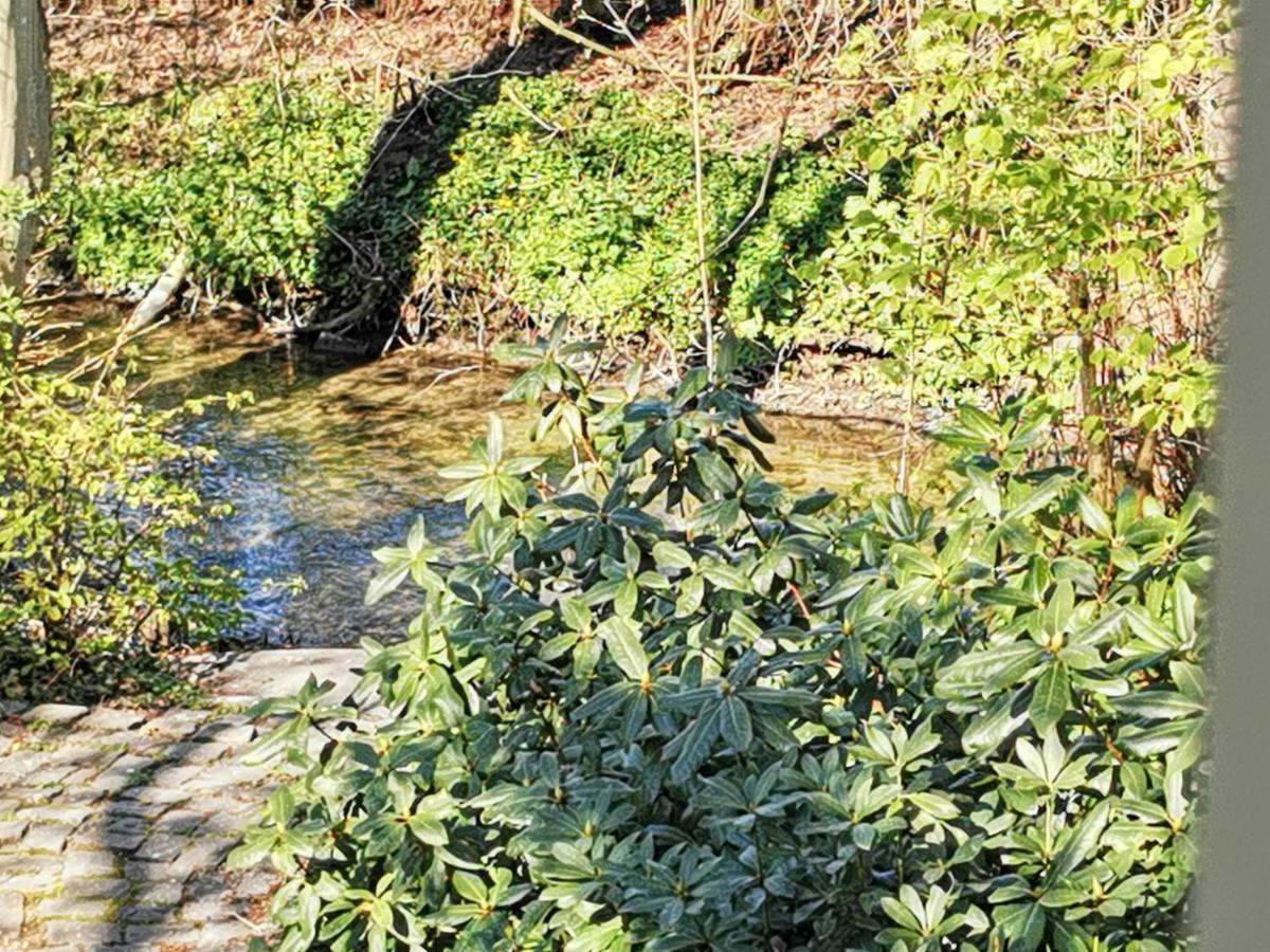 Hr Cottage Am Honigbach Coesfeld Bagian luar foto